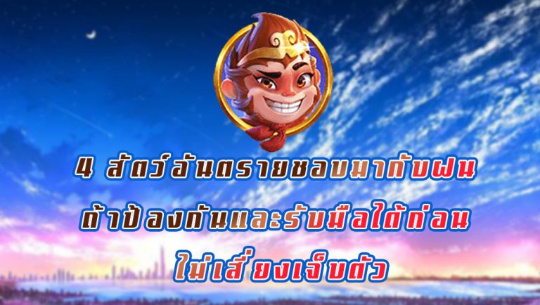 4 สัตว์อันตรายชอบมากับฝน ถ้าป้องกันและรับมือได้ก่อน ไม่เสี่ยงเจ็บตัว